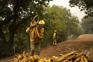Les autorités voient le bout du tunnel sur le front des incendies à Tenerife.